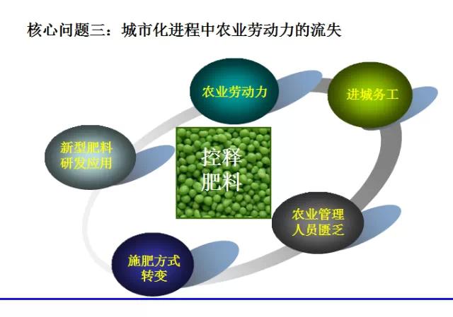 茄子视频破解版缓控释肥高科技