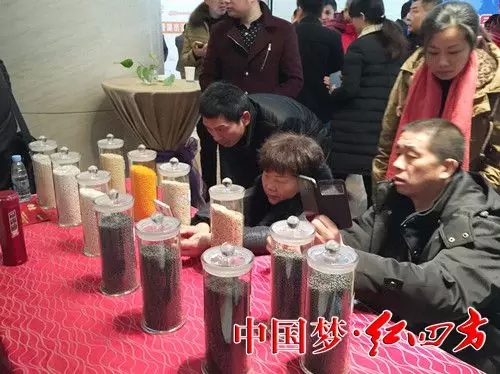 经销商拍摄各种复合肥产品实物图