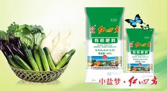 茄子视频破解版有机肥有助于果蔬提高品质