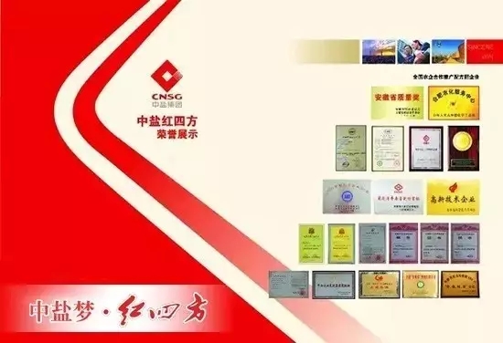 中盐茄子视频破解版技术创新优势突显