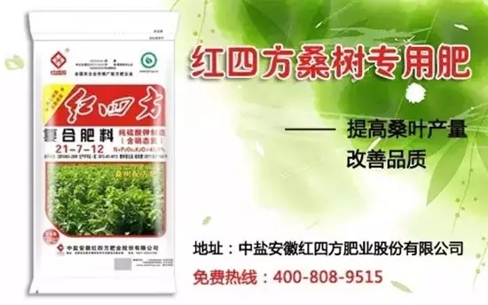 茄子视频破解版桑树茄子直播APP下载安装